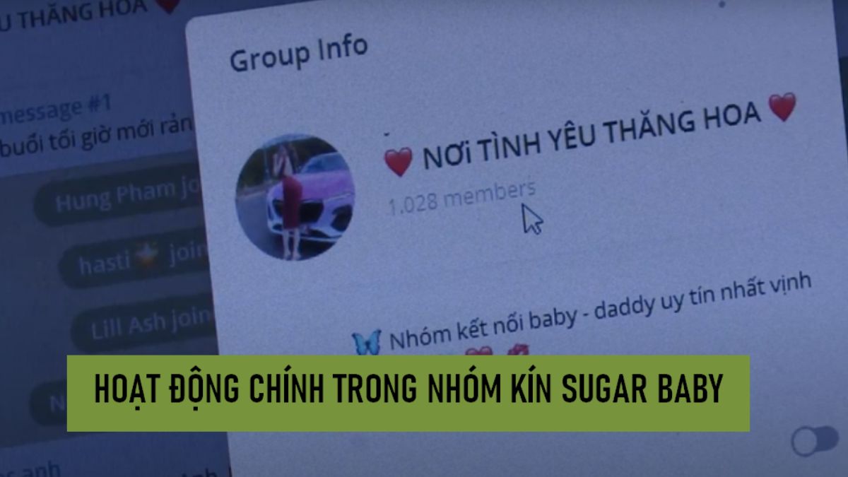 Hoạt Động Chính