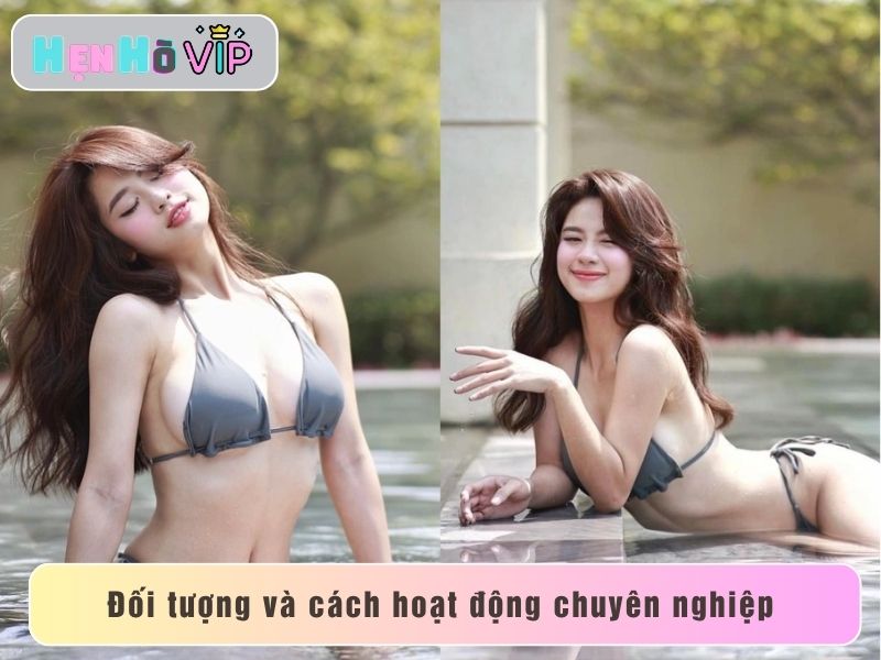 Hoạt động chuyên nghiệp