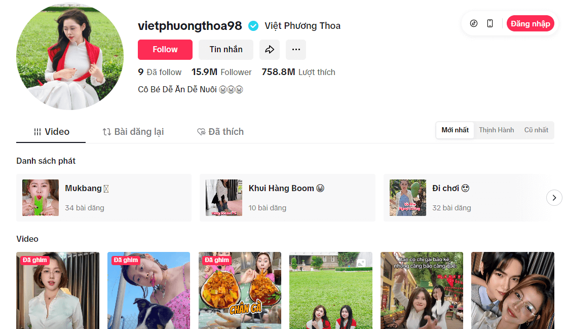 Việt Phương Thoa sở hữu kênh TikTok triệu follow