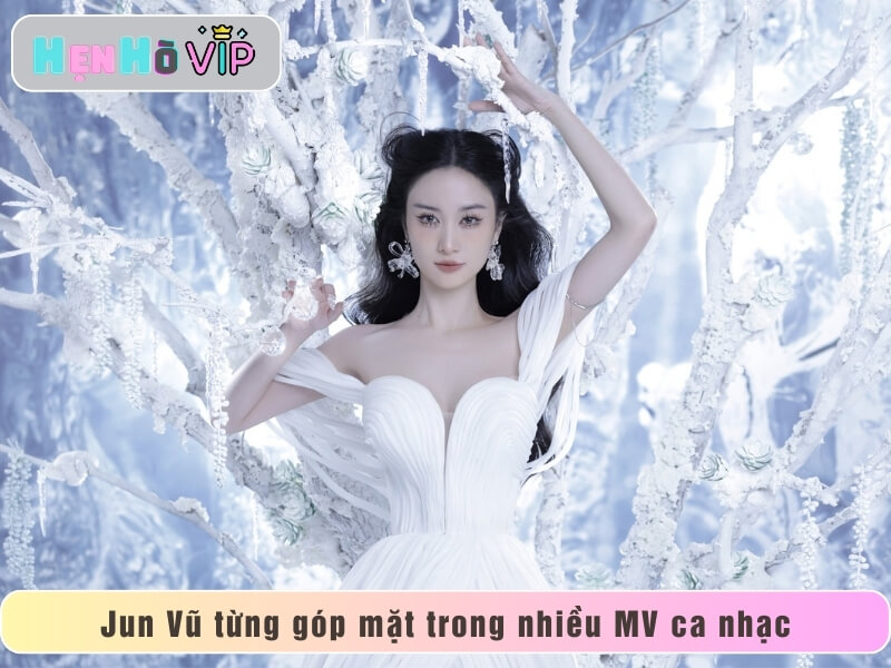 Jun Vũ từng góp mặt trong nhiều MV ca nhạc